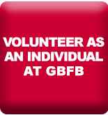 Individual Volunteers