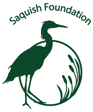 Saquish logo