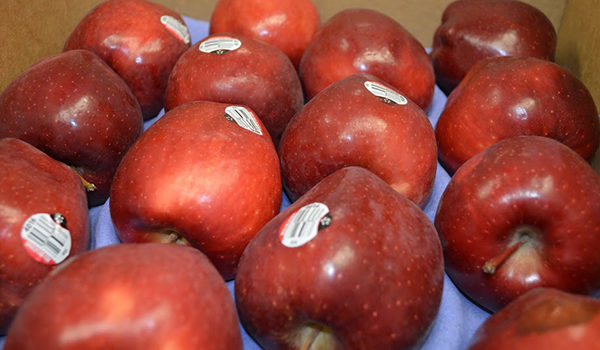 When she went to the pantry, Jackie was able to get healthy snacks for her kids.