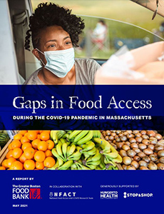Gaps in Food Access Report
