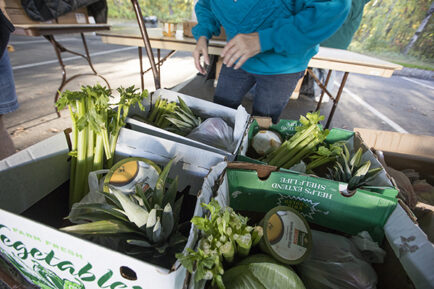 Close-up of boxes of nutritious food