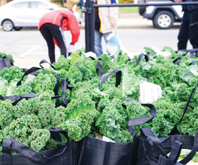 Bags of kale ready to be distributed at a Mobile Market