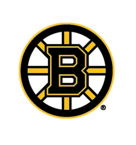 The Boston Bruins