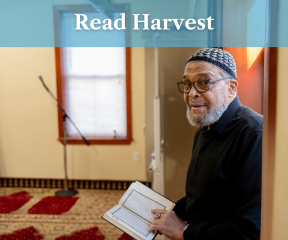 Read Harvest