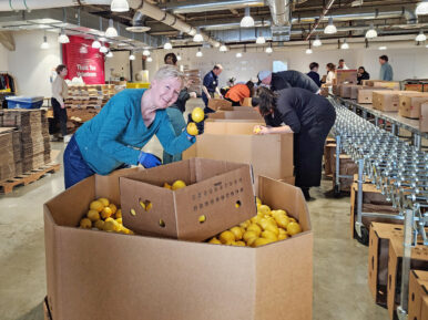 Photo of woman sorting lemons